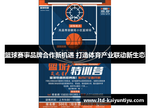 篮球赛事品牌合作新机遇 打造体育产业联动新生态