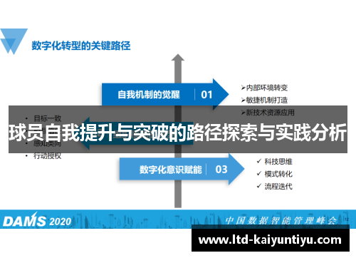 球员自我提升与突破的路径探索与实践分析